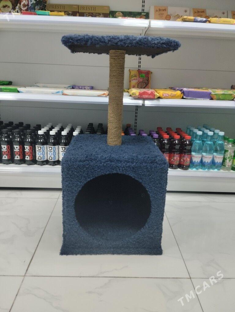 pisik un, для кошек - Чоганлы - img 1