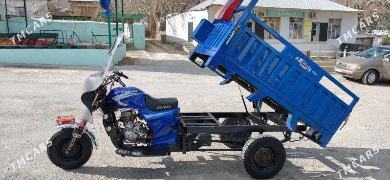 Fekon FK200-14G 2015 - 22 000 TMT - Bäherden - img 1