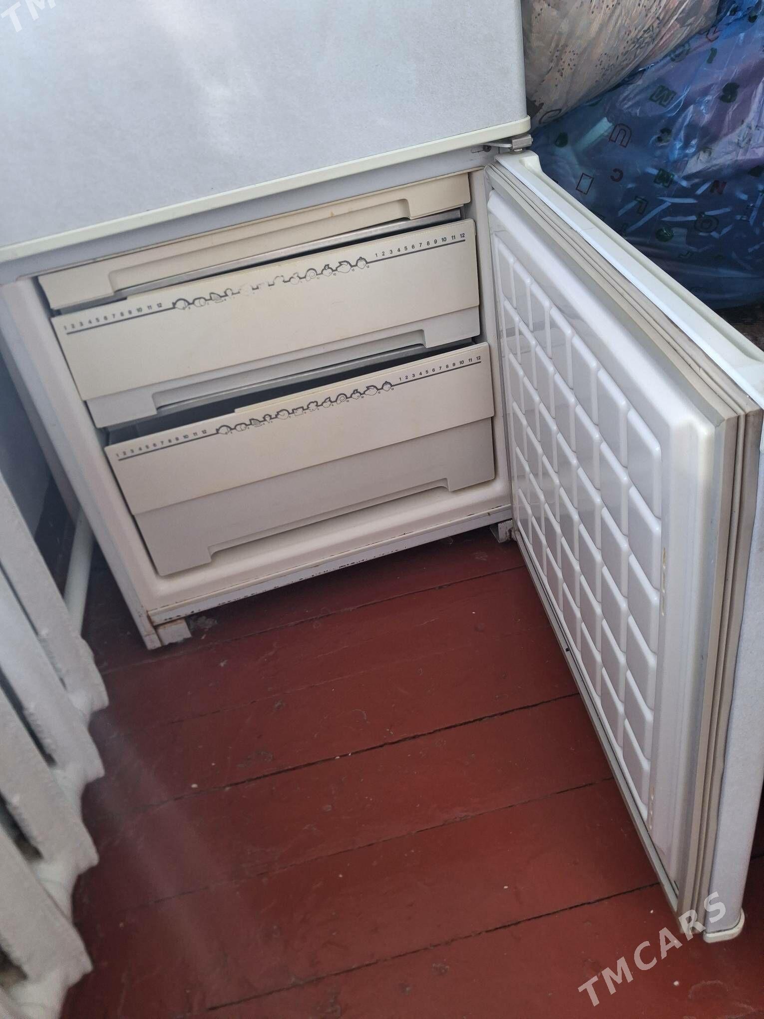 Holodilnik - Mary - img 1