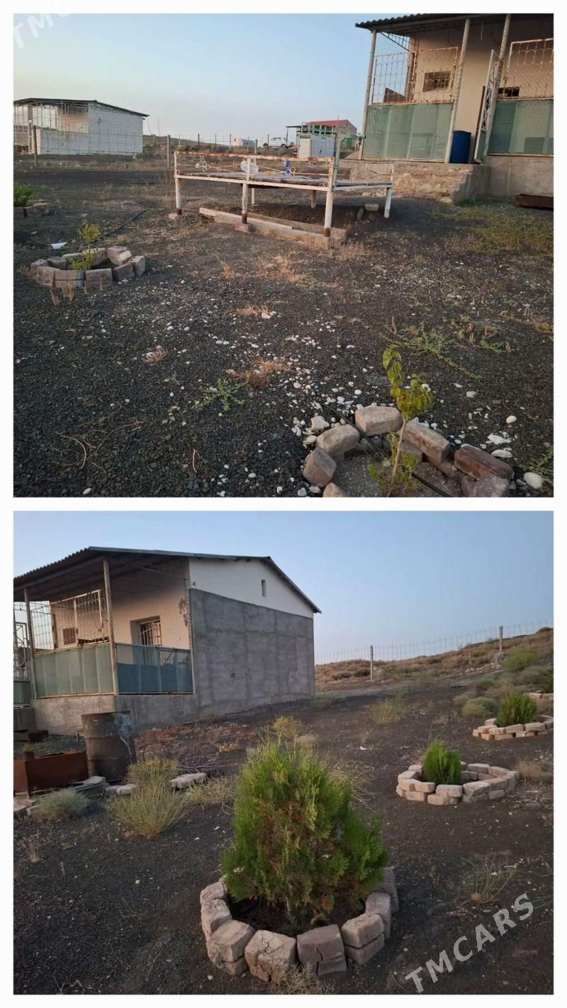 ALTYN-AKAR ŸER - Balkanabat - img 1