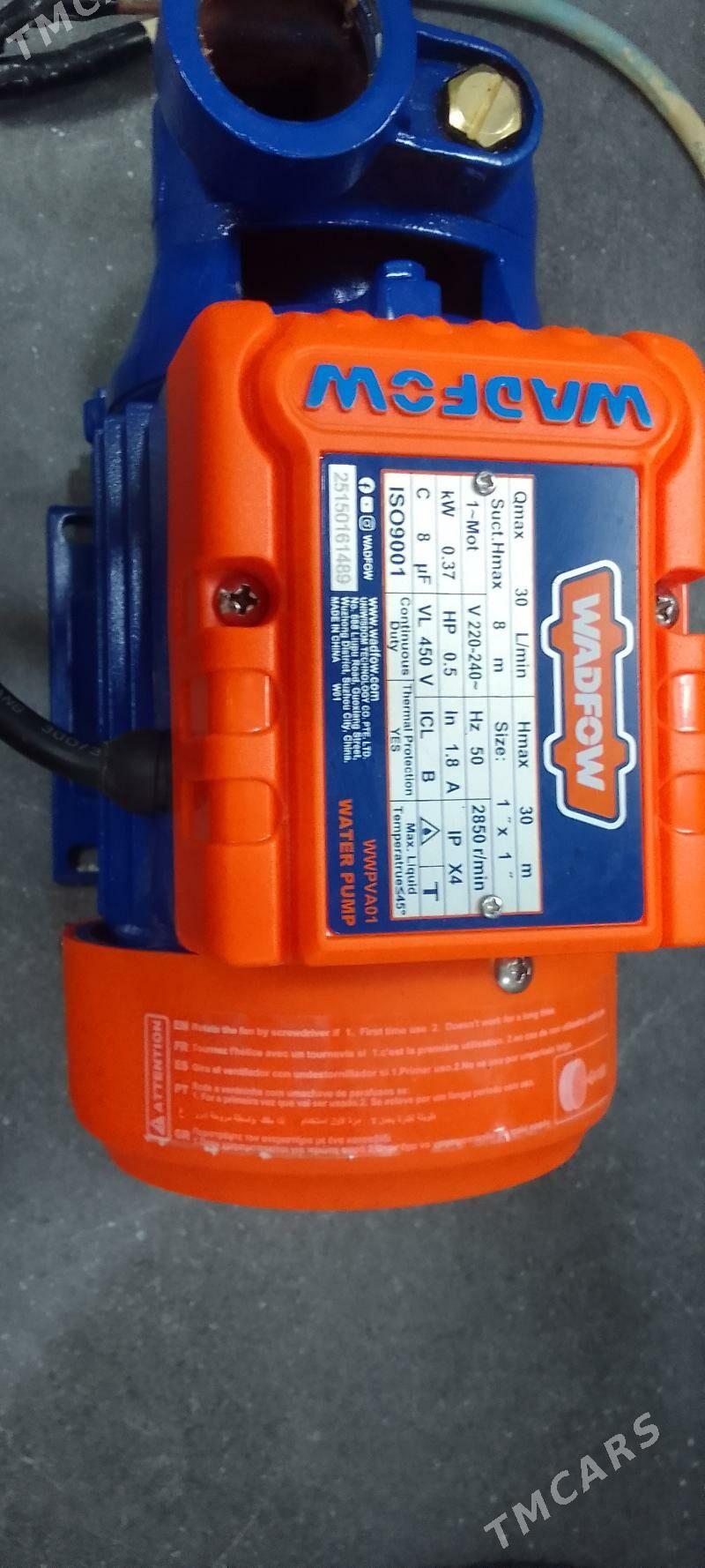 Suw nasos - Mary - img 1