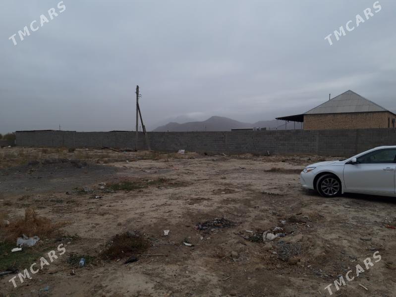 mellek - Гёкдепе - img 1