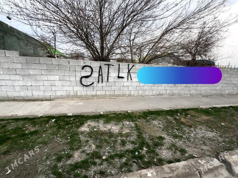 Akdasayak mellek - Büzmeýin - img 1