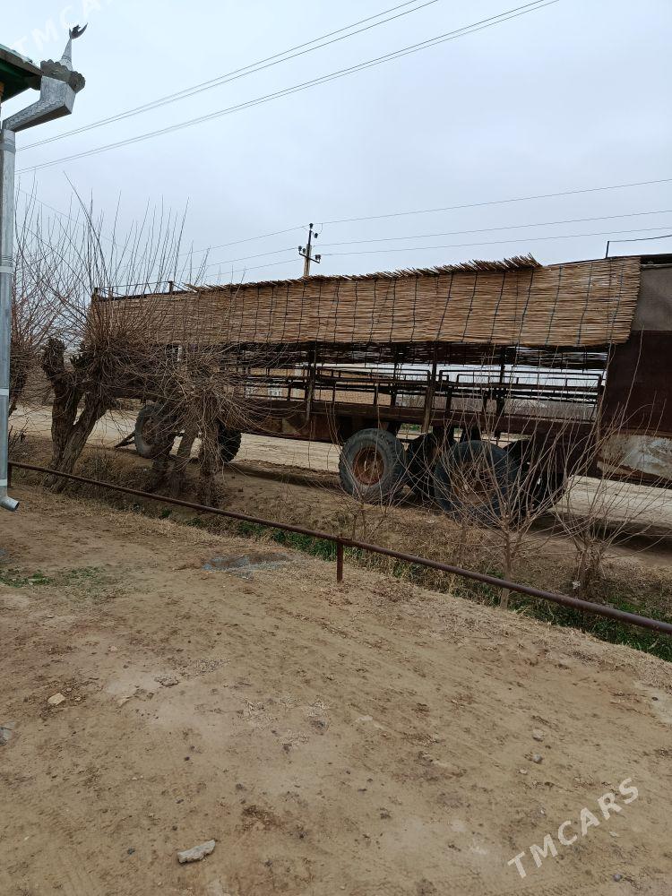 bal ary pirsep - Ýolöten - img 1