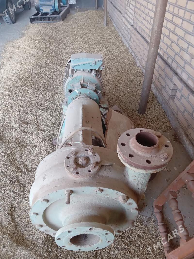 elektrodwigatelli suw nasos - Мургап - img 1