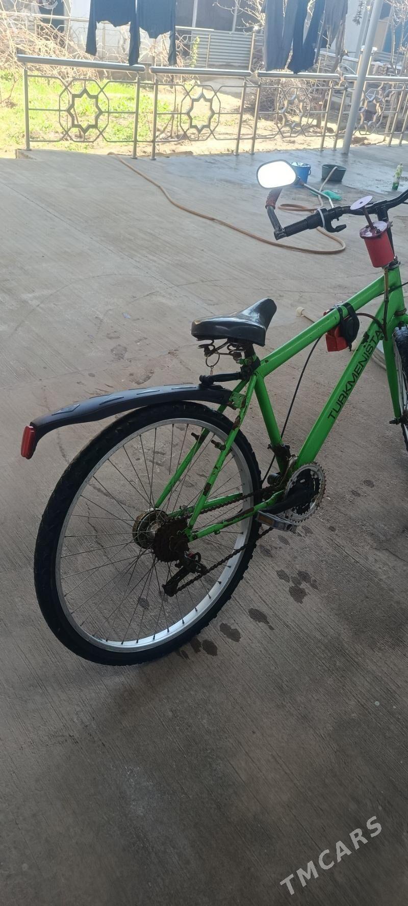 Tıgır - Теджен - img 1