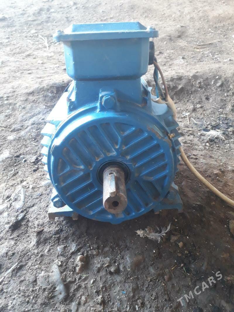 dwitel - Gyzylarbat - img 1