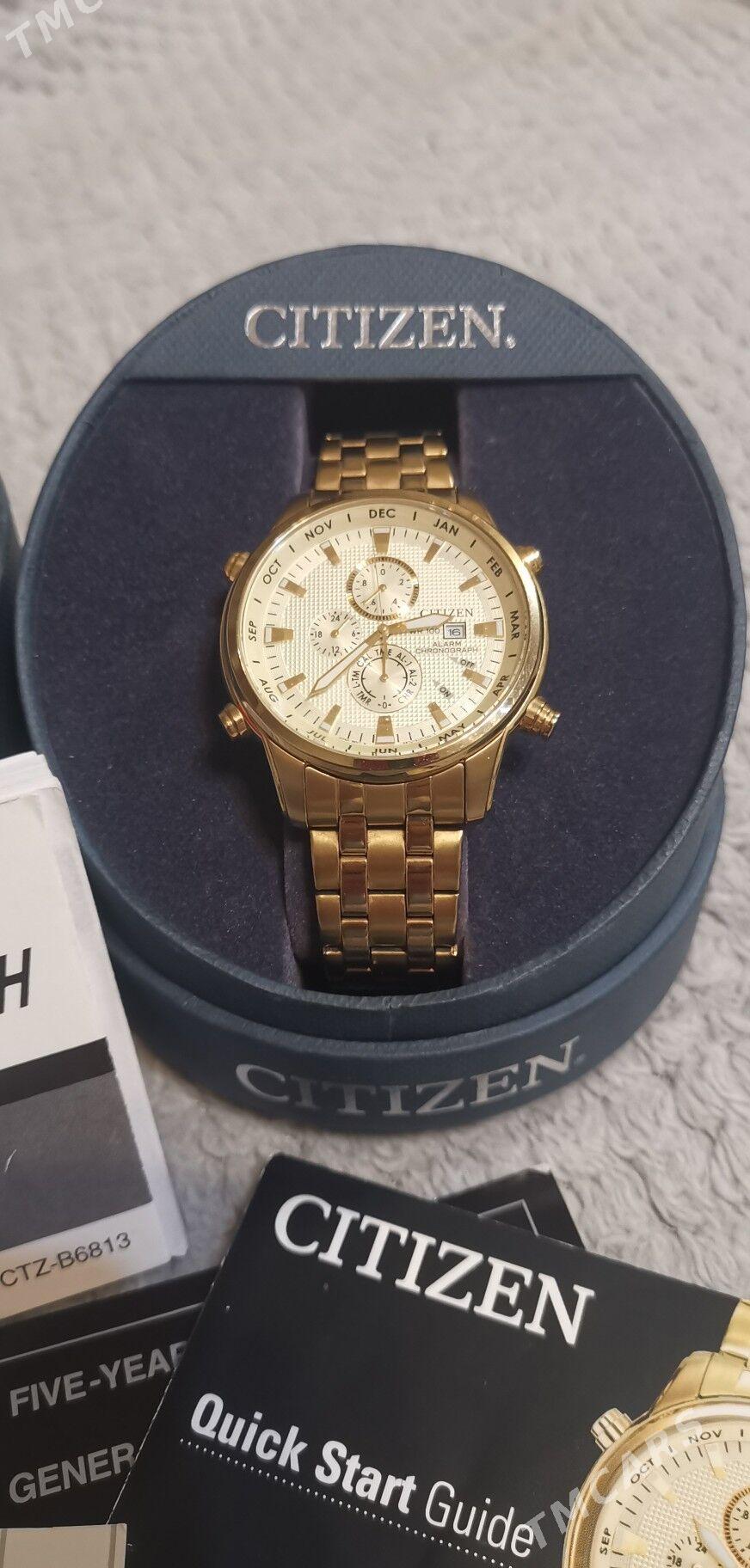 Citizen Sagat - Mary - img 1