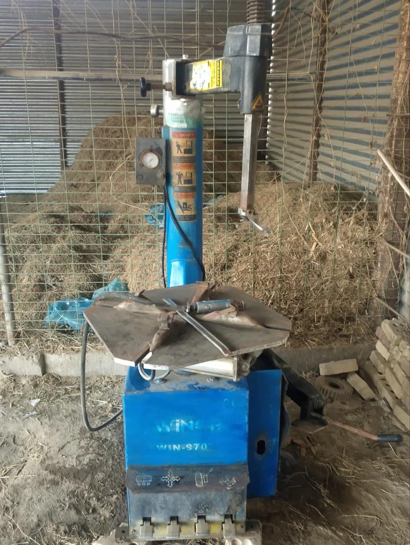 Wulkayasya 11 000 TMT - Mary - img 1