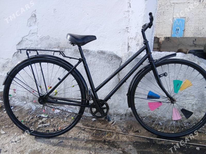 tigir - Ýaşlyk - img 1