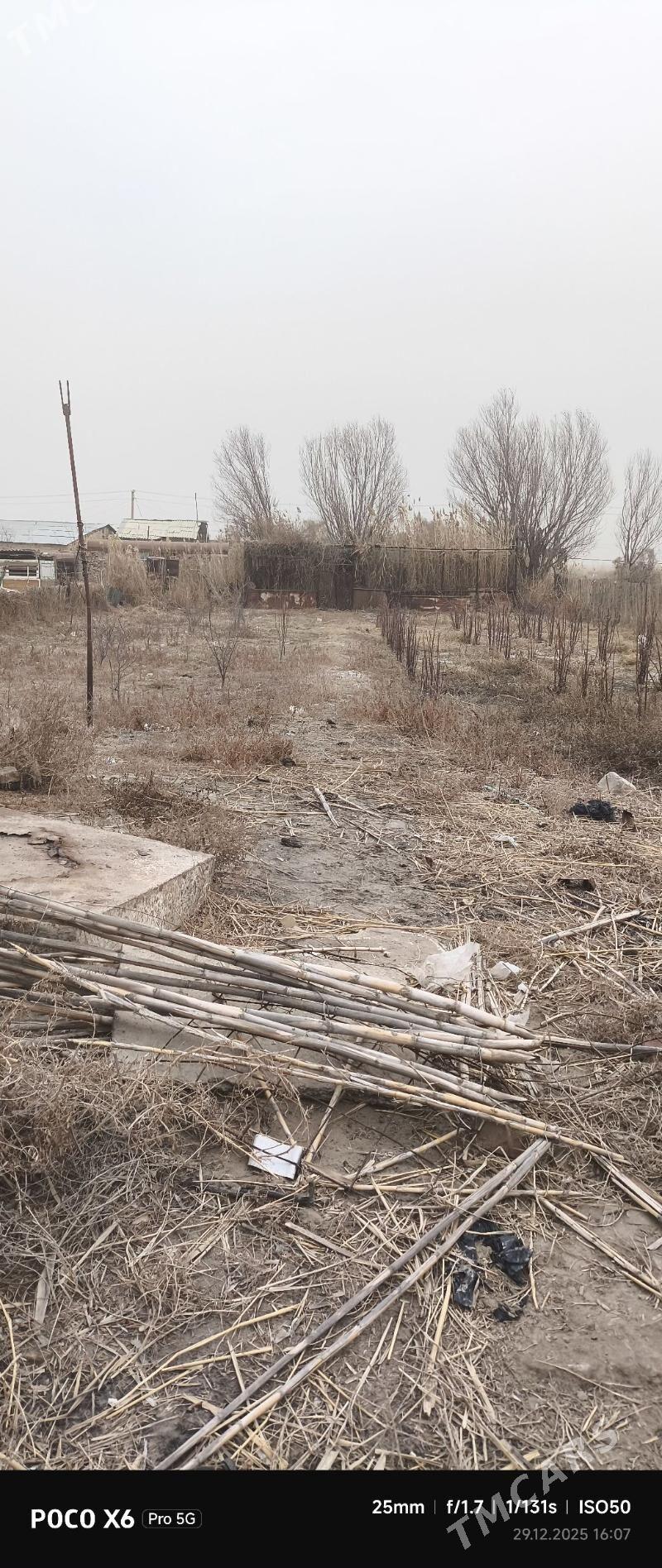 daça 10 sotuk - Türkmenabat - img 1