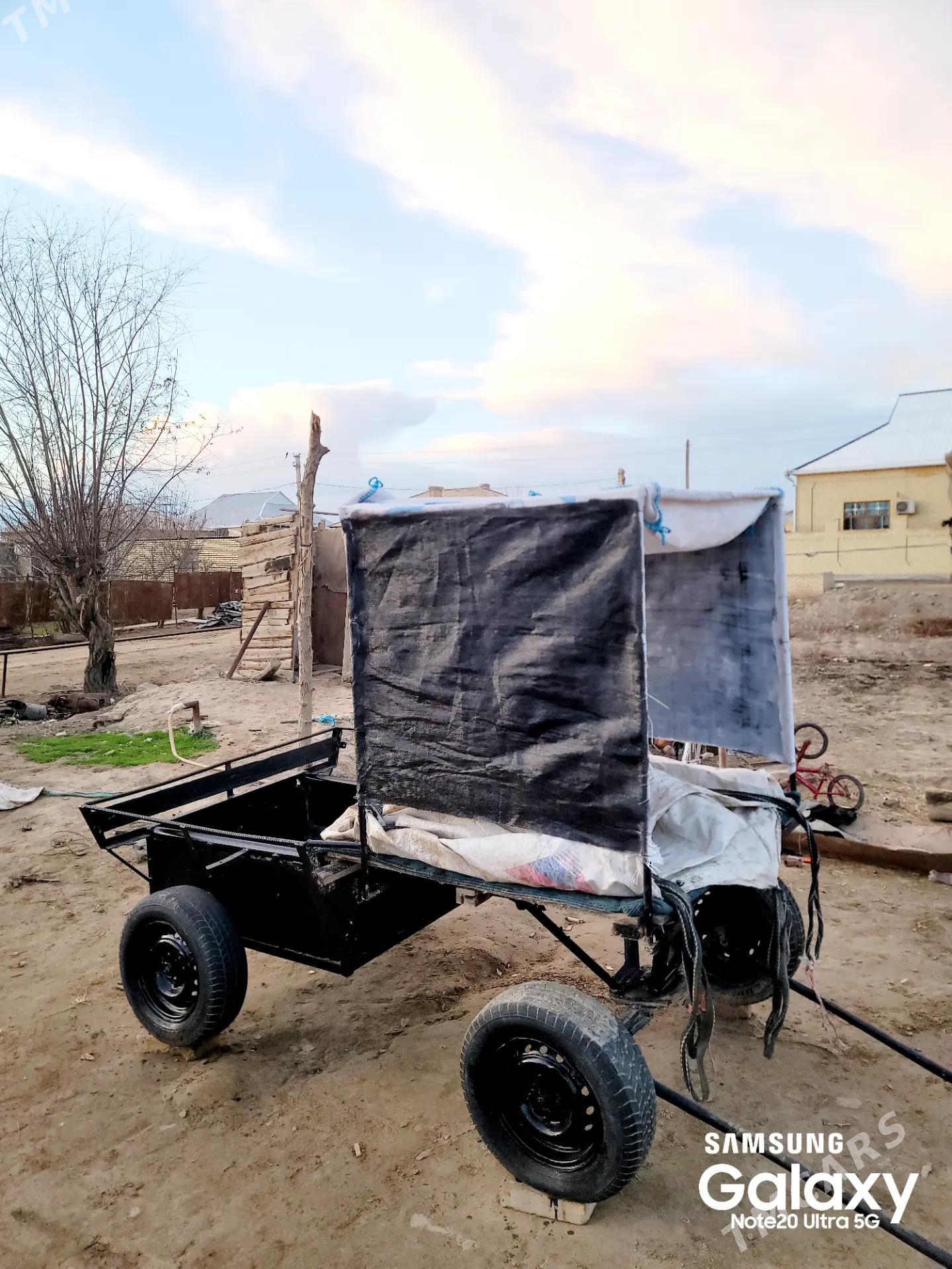 esek araba - Sakarçäge - img 1