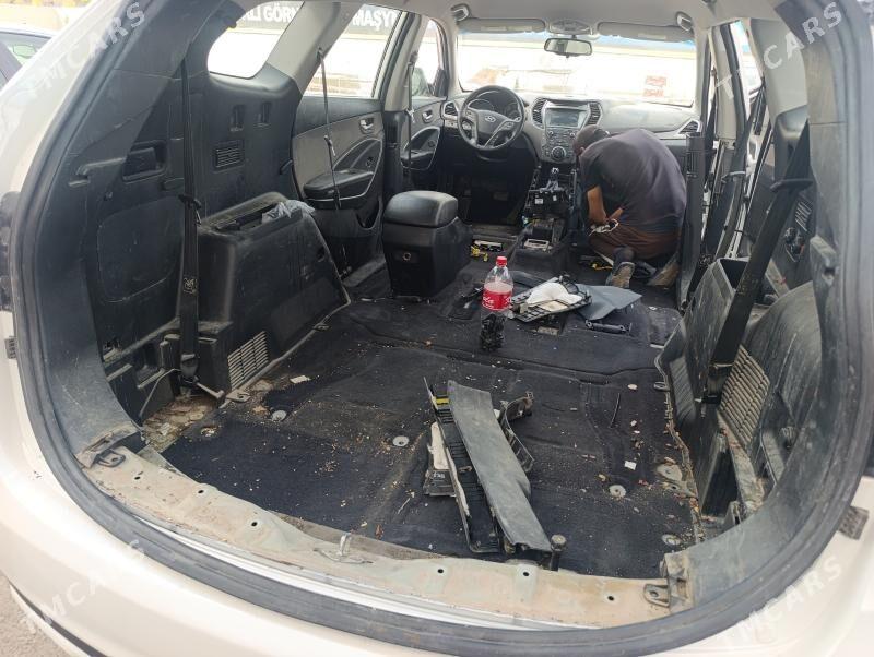 isgar gerek moyka - Анев - img 1