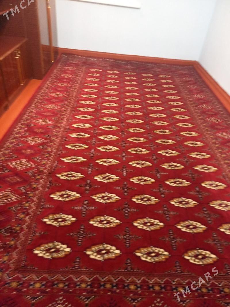 haly - Туркменбаши - img 1