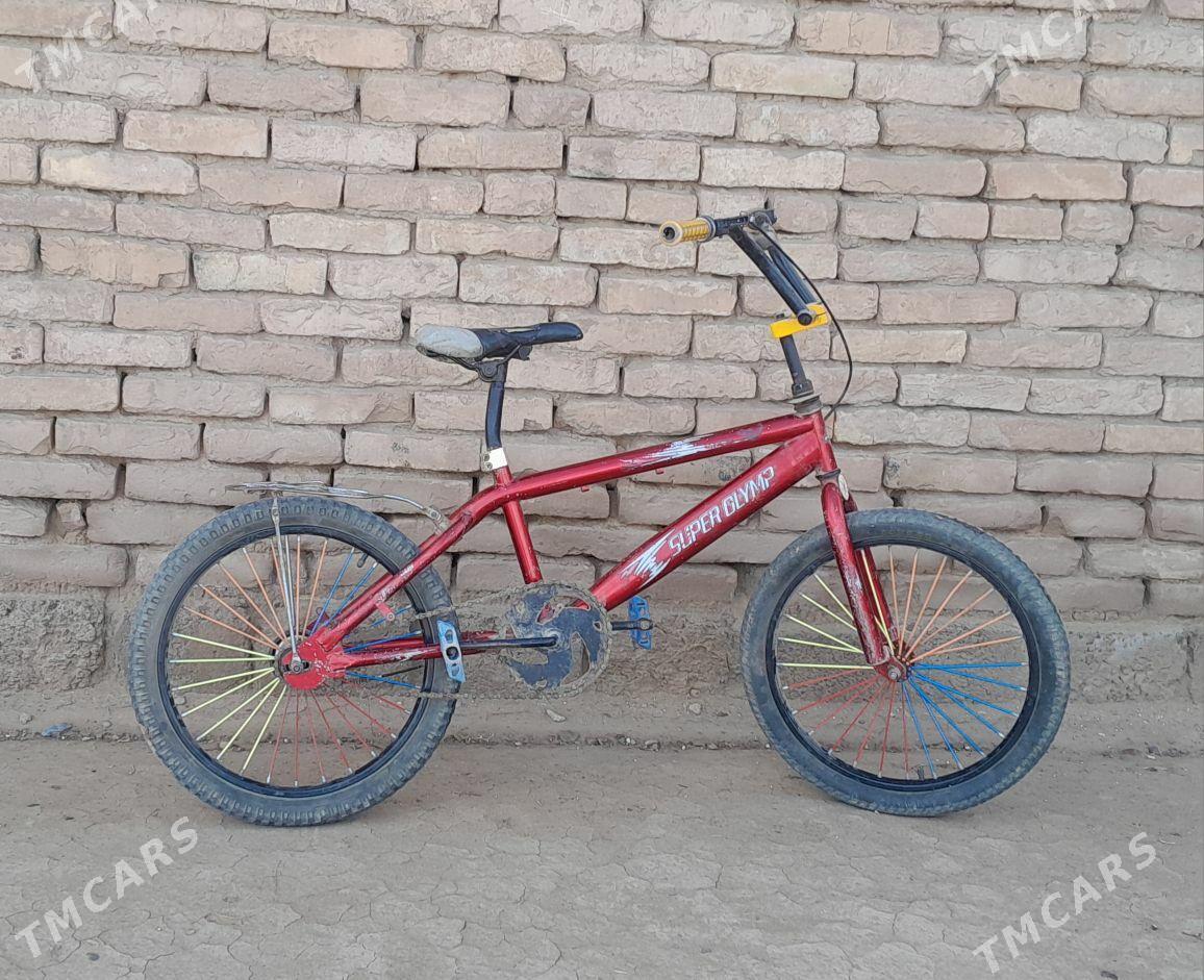 Tigir - Ak bugdaý etraby - img 1