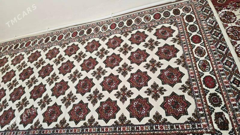 Haly - Änew - img 1