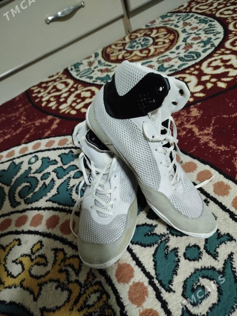 barsofka - Bedew - img 1