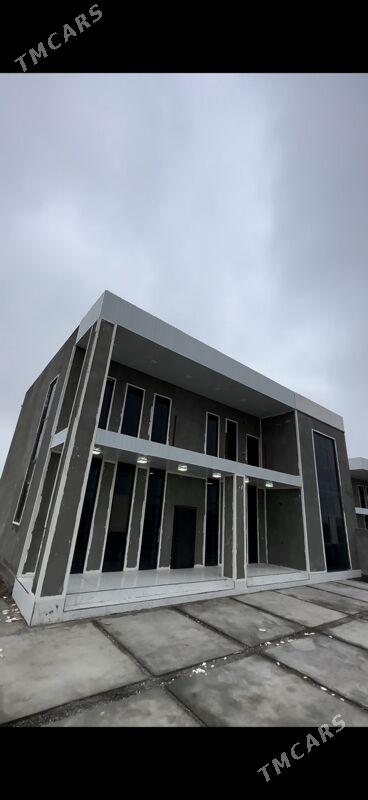 kotej - Mary - img 1