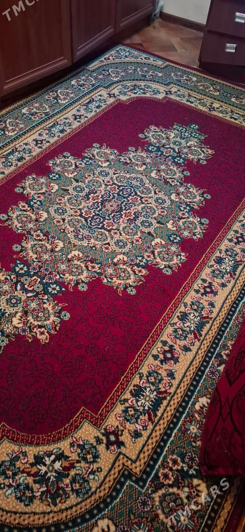 haly - Parahat 4 - img 1