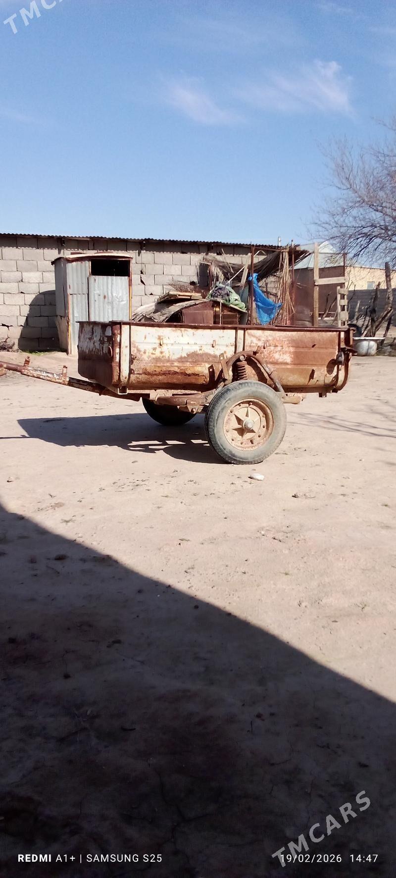 Teleska - Sarahs - img 1