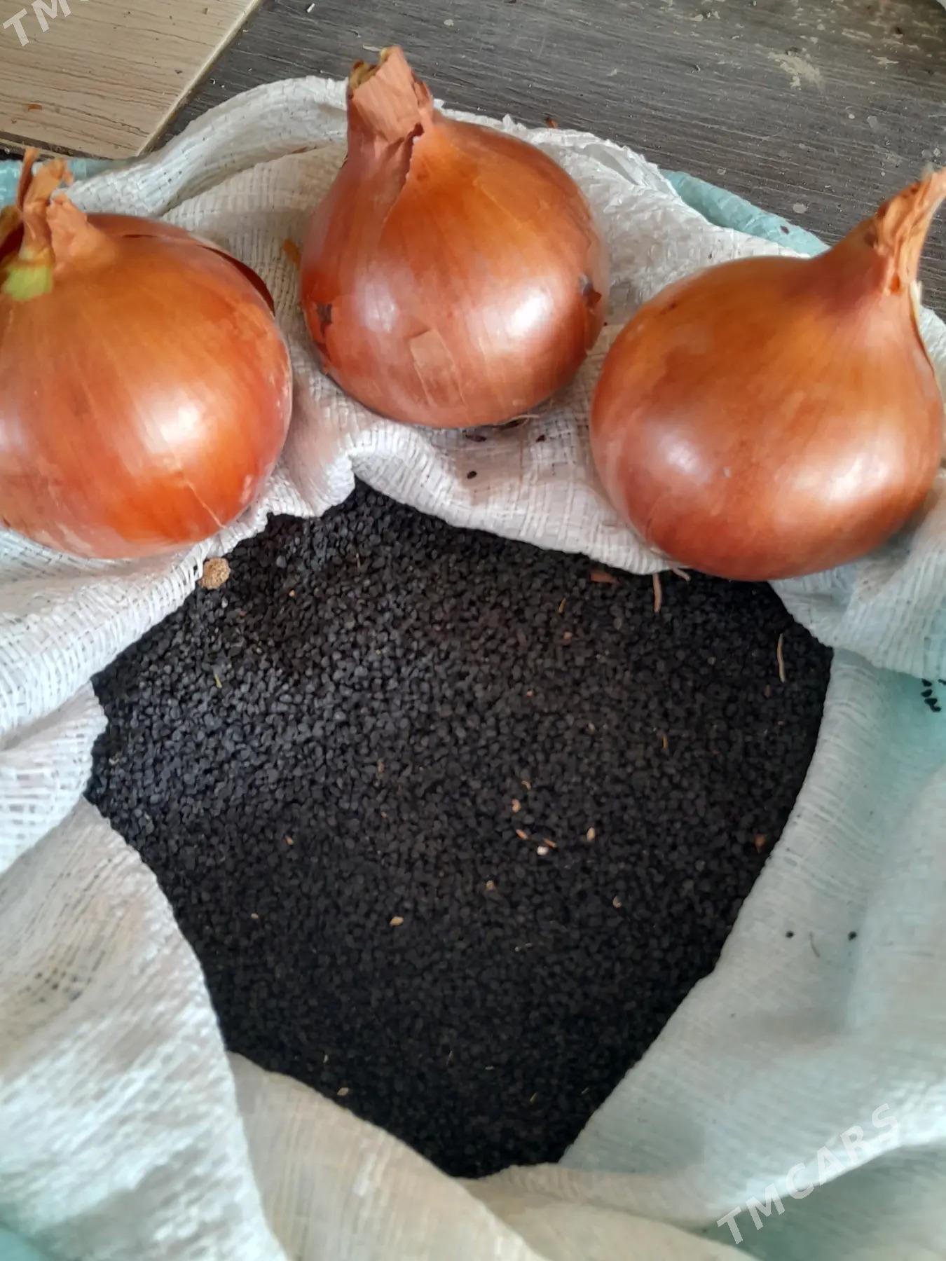 Sogan tohum.Tarmen. - Фарап - img 1