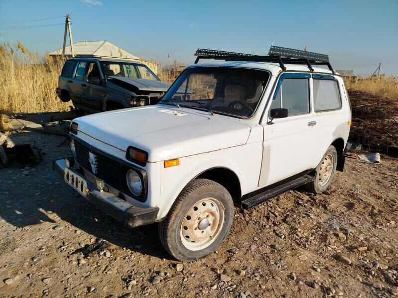 zapjaslyk niwa 11 111 111 TMT - Babadaýhan - img 1