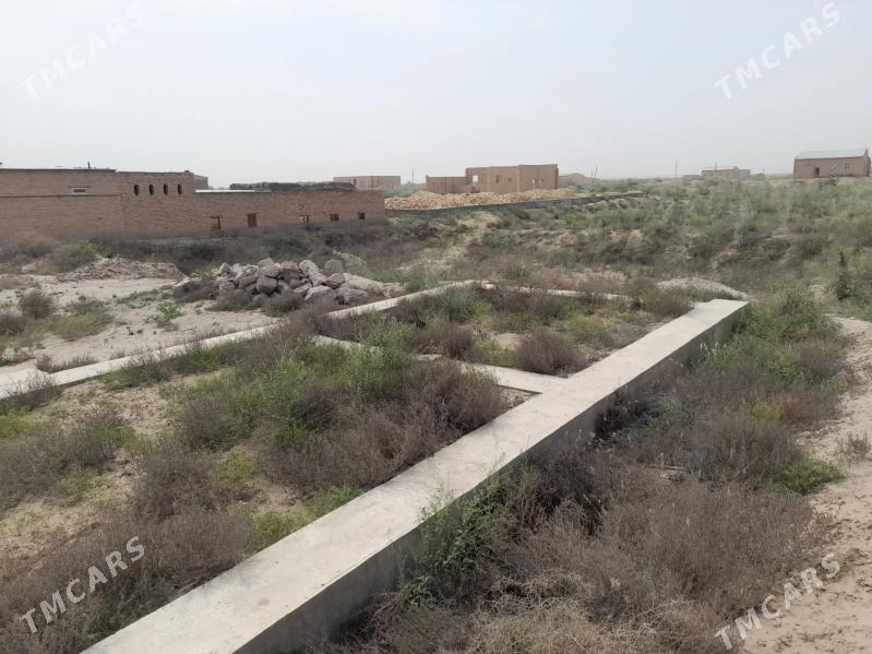 16 sotuk - Туркменабат - img 1