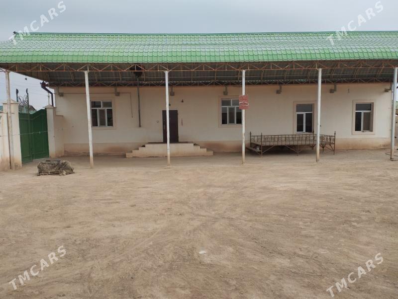 Hojalyk jay - Туркменбаши - img 1