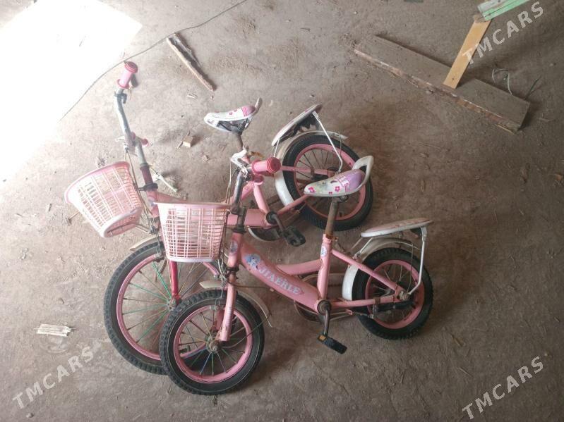 tgr - Daşoguz - img 1