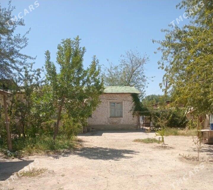 Jaý - Ak bugdaý etraby - img 1