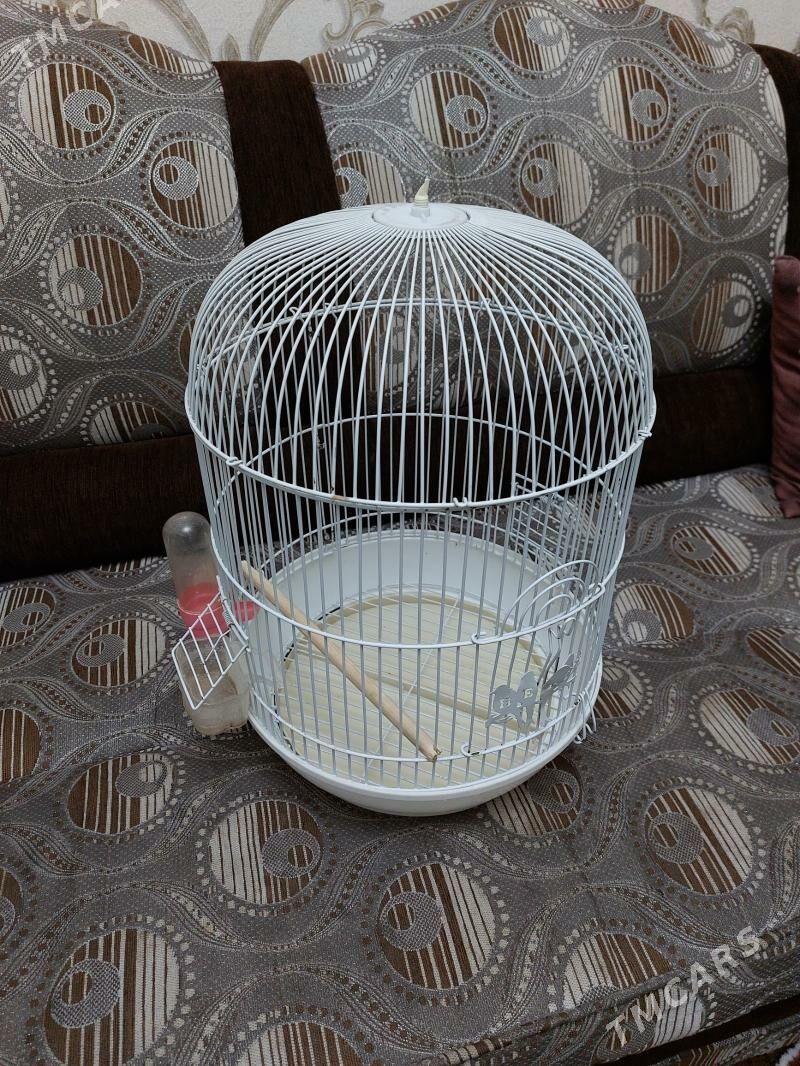 kletka - Бузмеин ГРЭС - img 1