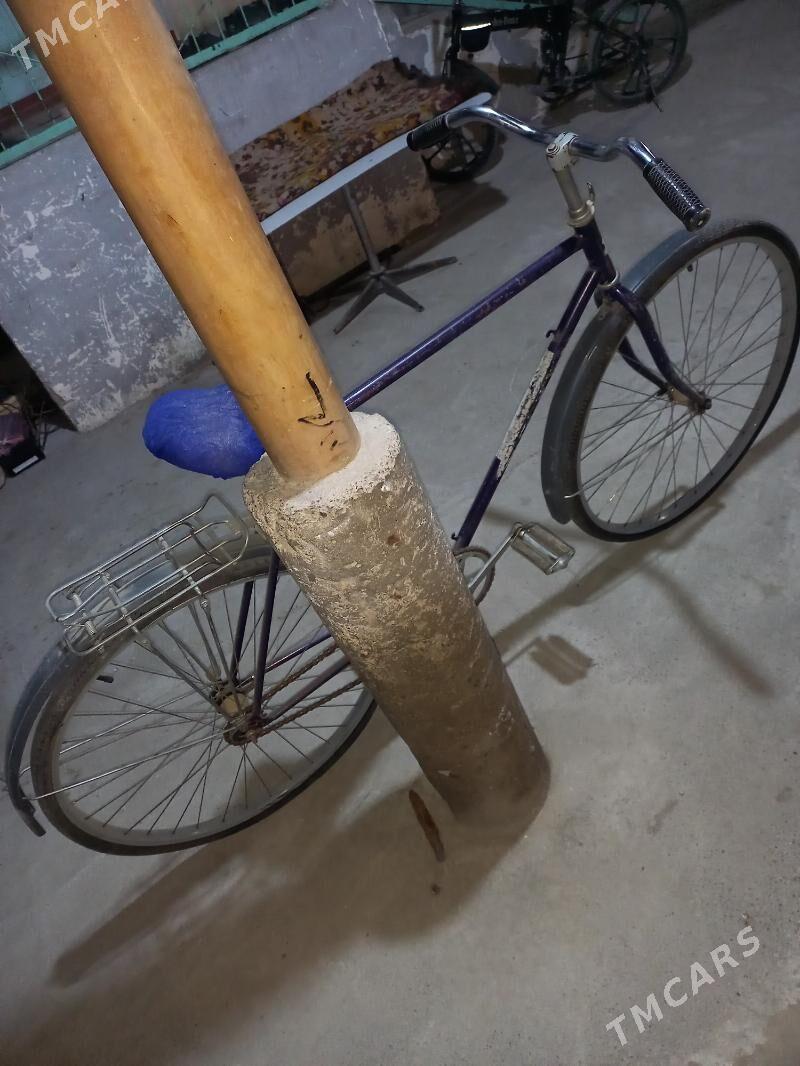 tigir - Büzmeýin - img 1