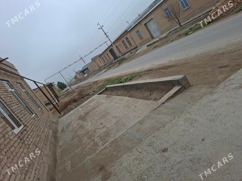 žyl pasoluk 8 sok melek - Türkmenabat - img 1