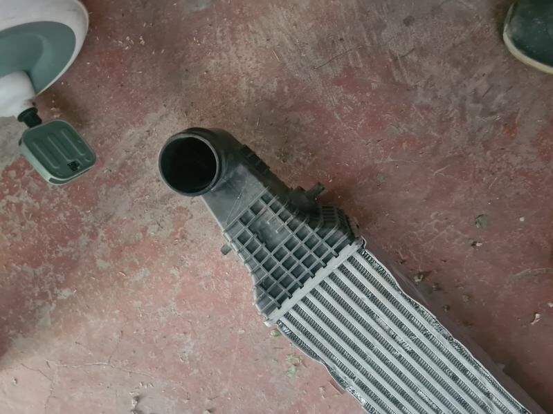 stinger genesis interkuler 3 000 TMT - Aşgabat - img 1