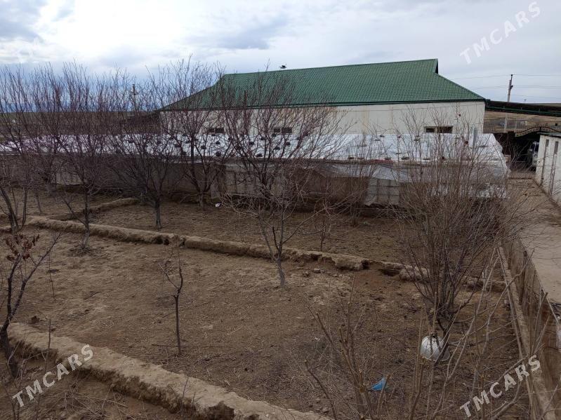 satlyk jaý - Kaka - img 1