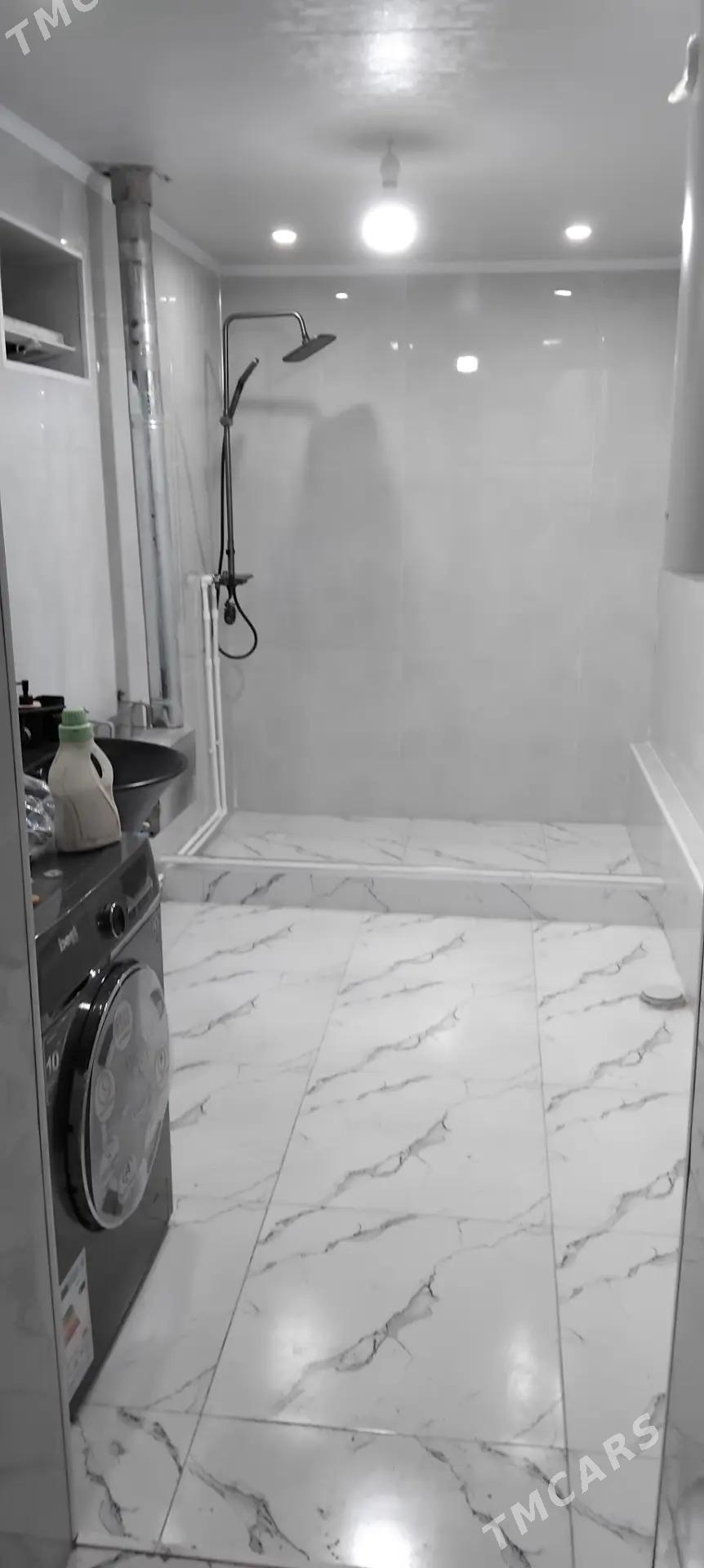 kafelci ussa - Mary - img 1