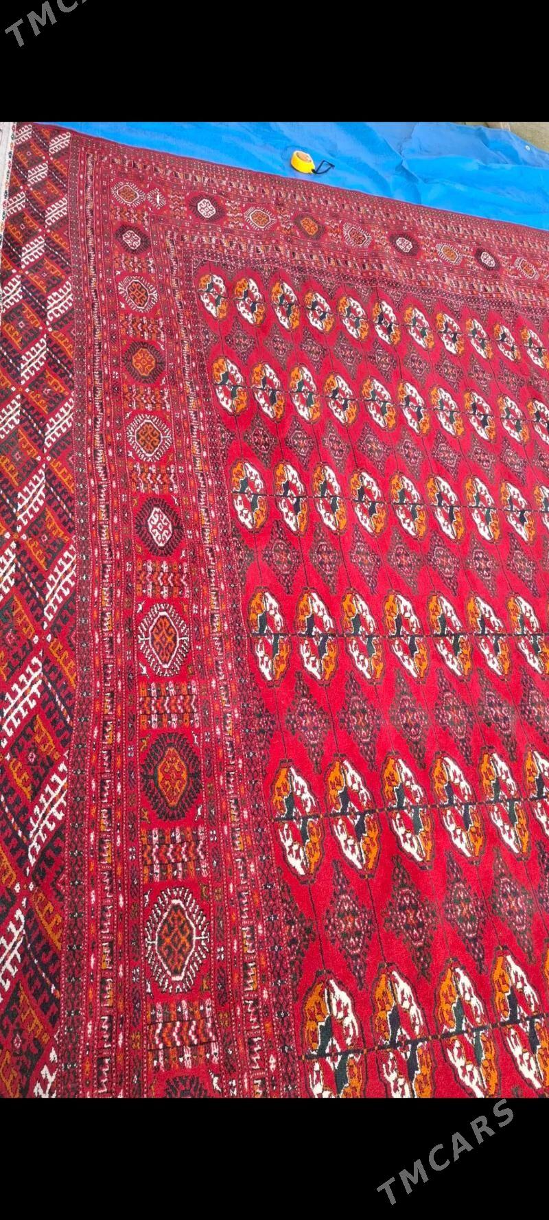 Ince el haly - Бахарден - img 1