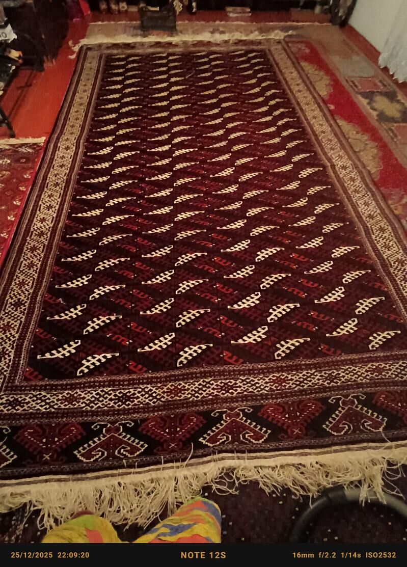 Haly - Bereket - img 1