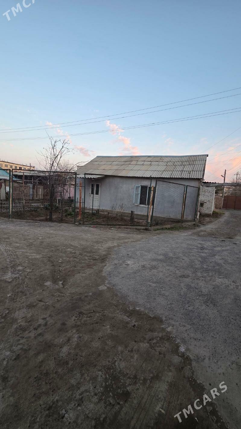 Titow skwarsowa catyrk howly - Mary - img 1