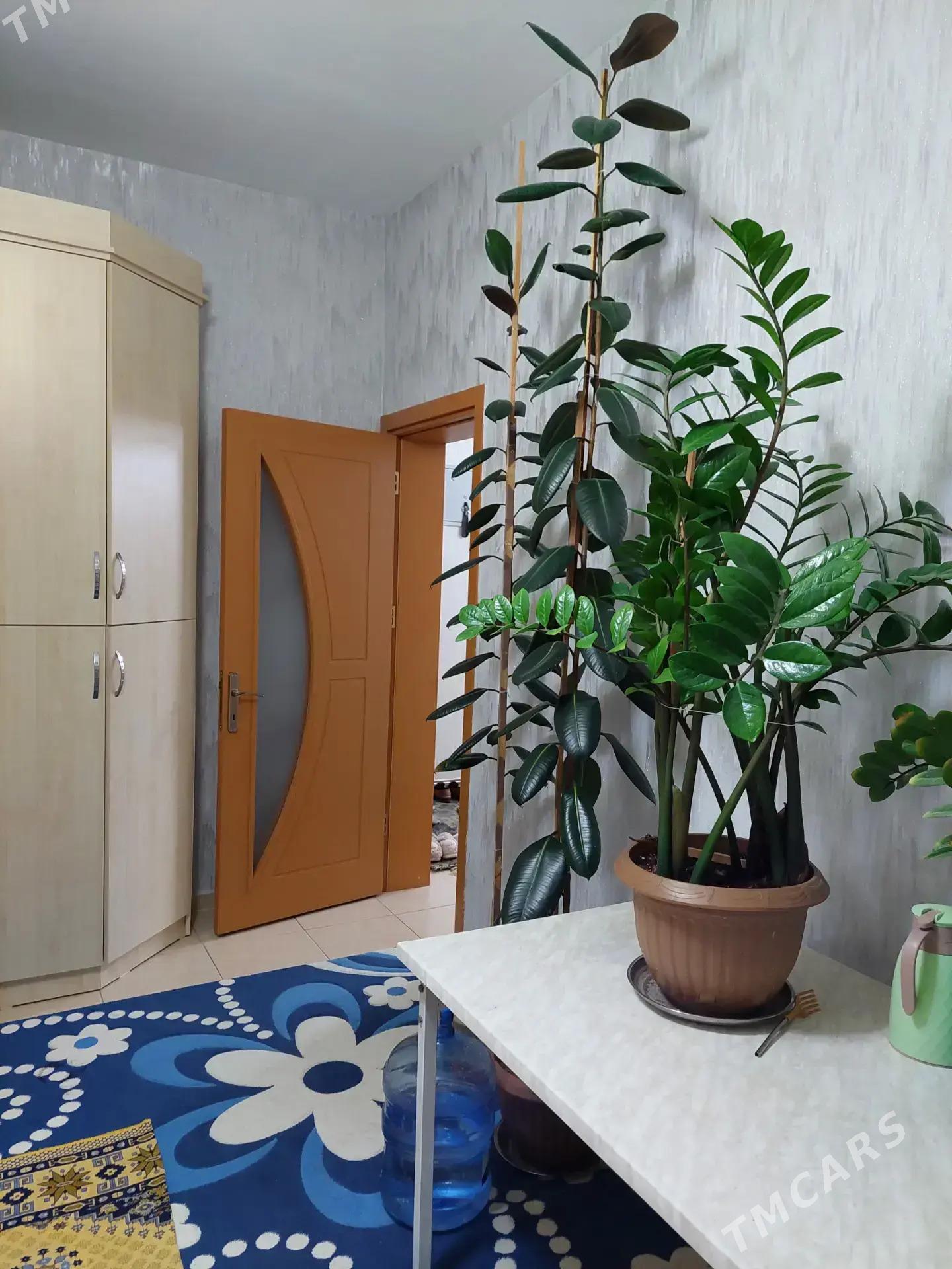 TASLAMA. GÜL ZEMIN. 4 KOMN - Gurtly - img 1