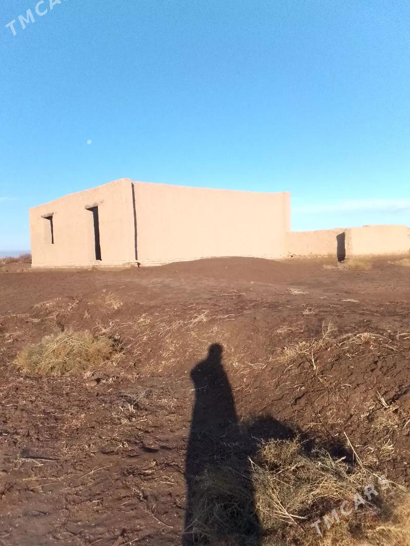 jay - Гурбансолтан Едже - img 1