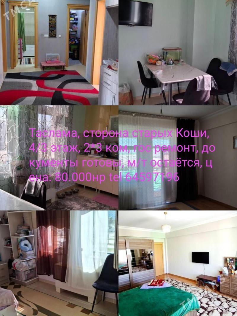 satlyk jaý - Кëши - img 1