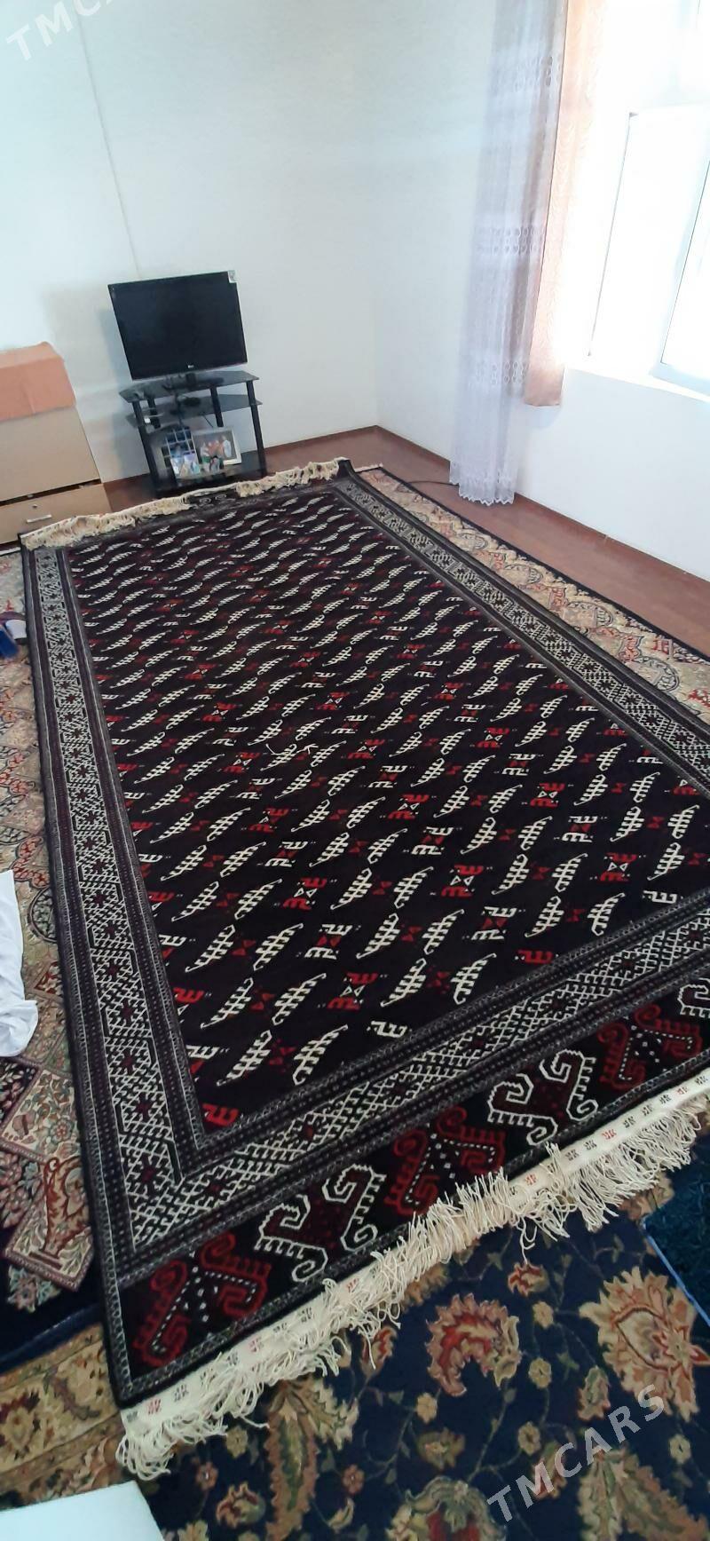 sep gara haly - Gumdag - img 1