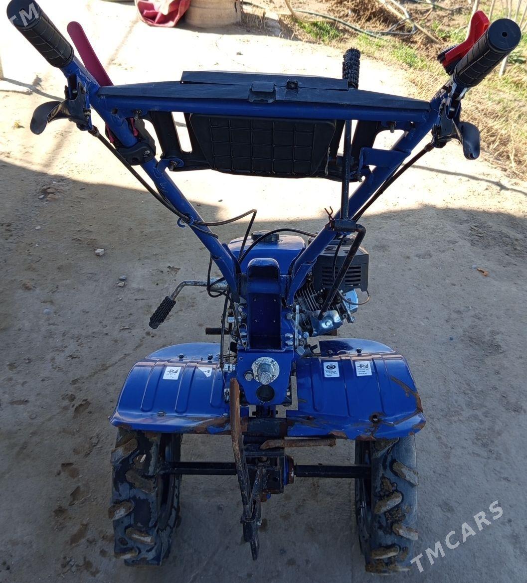 ýer sürýen matobulok - Чарджоу - img 1