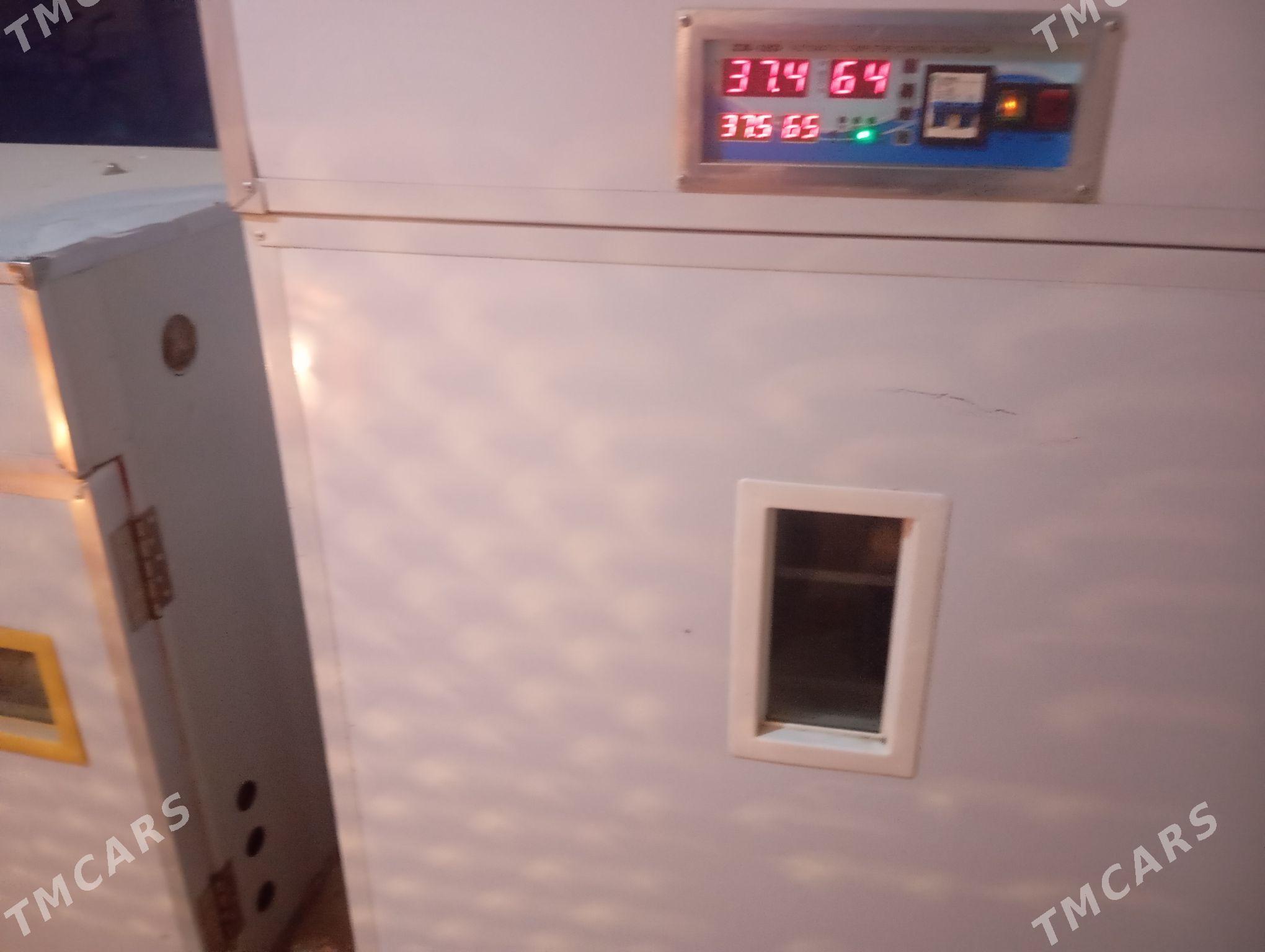 Заводской инкубатор - Туркменабат - img 1