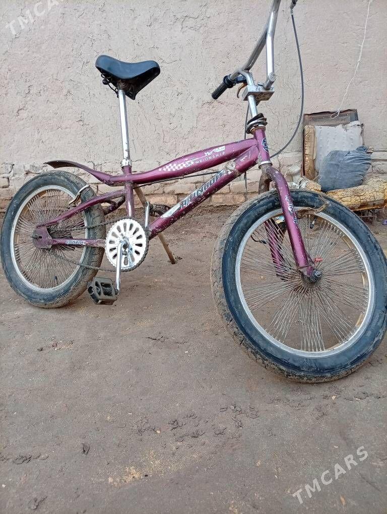 Rainbow Welosepet - Gurbansoltan Eje - img 1