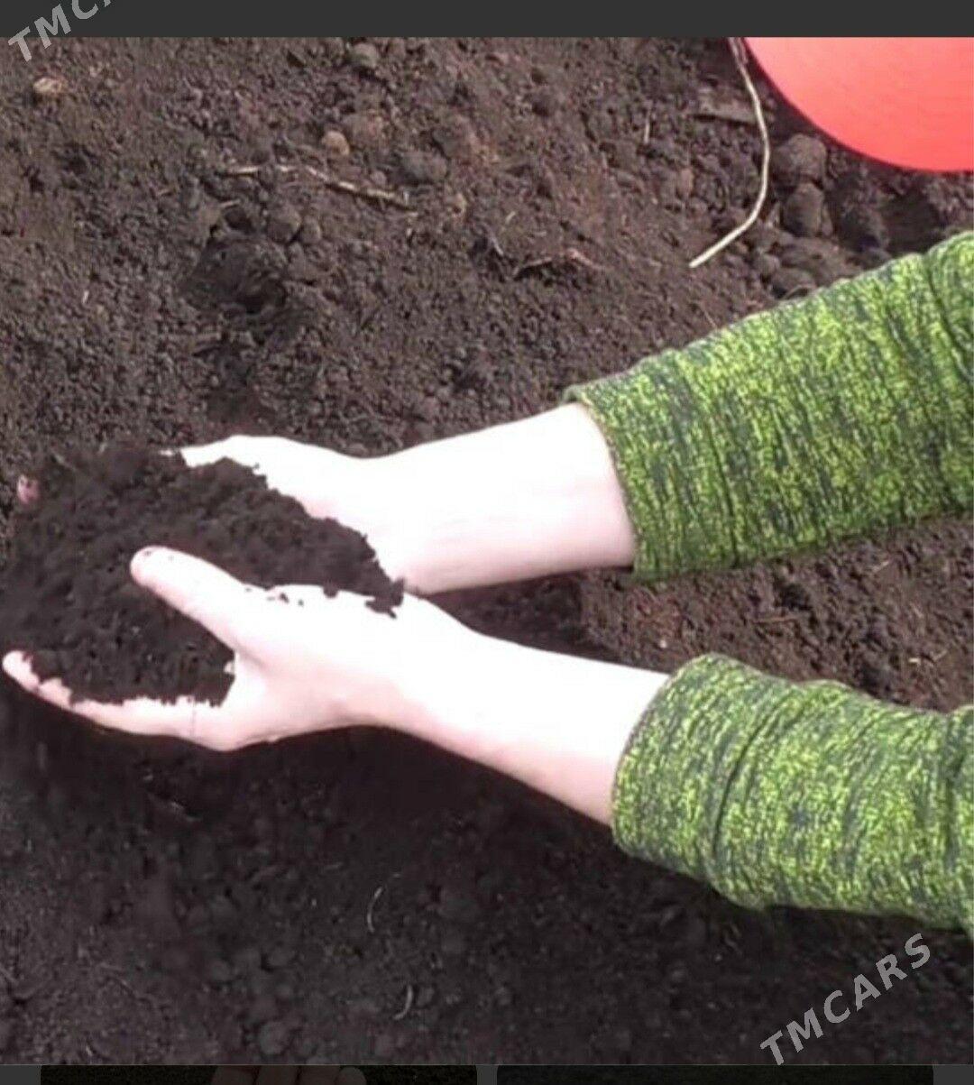 DERS GUM MYTY TOPRAK ГУМ ДЕРС НАВОЗ PULPA MITI YANAN DERS GRAMASA ṢEBIL ÇEGA SYMENT - Ашхабад - img 1