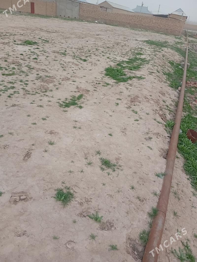 bos mellek yer - Серахс - img 1