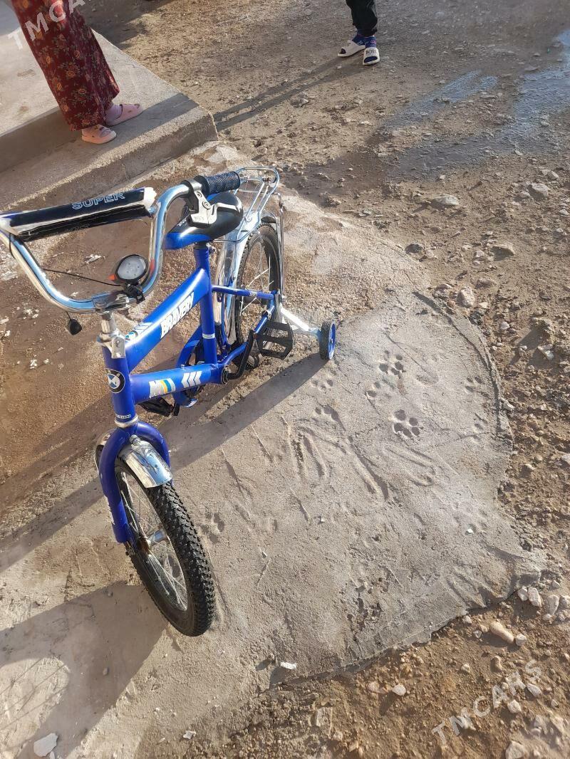 tigir - Balkanabat - img 1