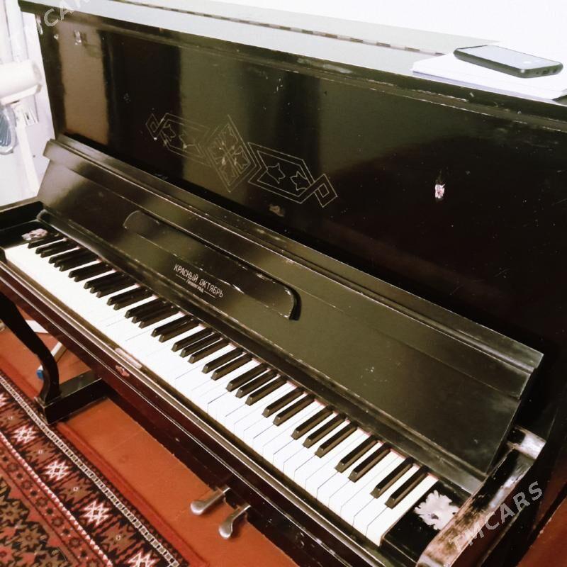 PIANINA - Kaka - img 1